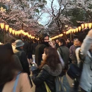 Meet your Posher, Grant